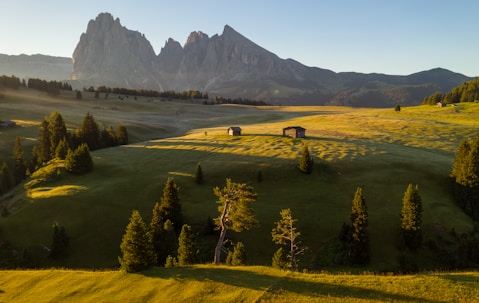 Inside the Studio: Modern Artists at Work