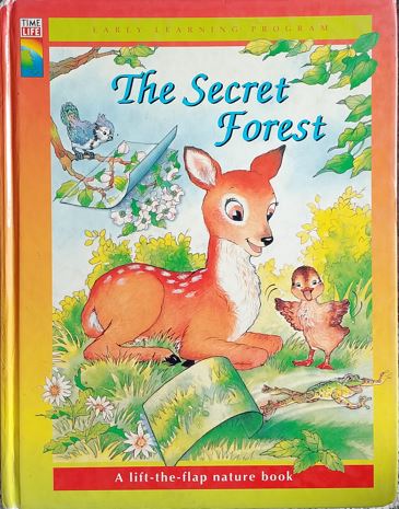 The Secret Forest